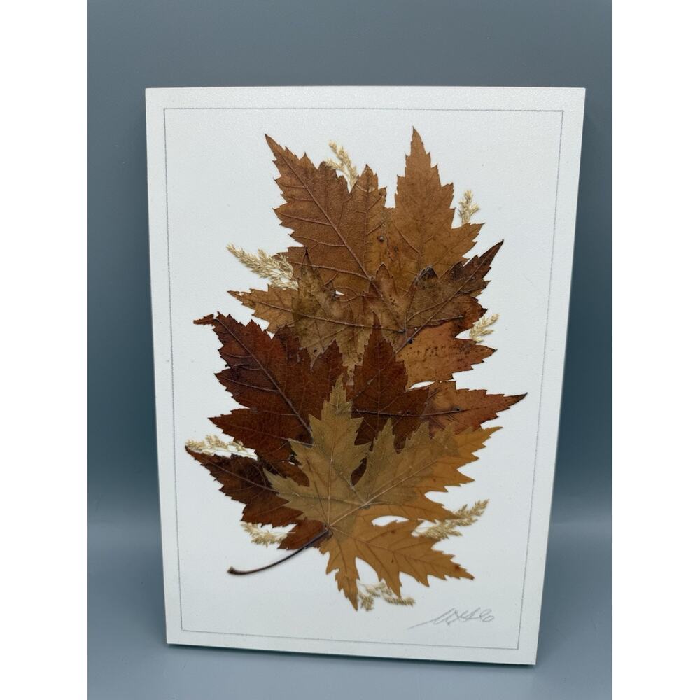 Pressed Leaf Art Handmade Canada Botanical Wall Decor Signed Country Girl